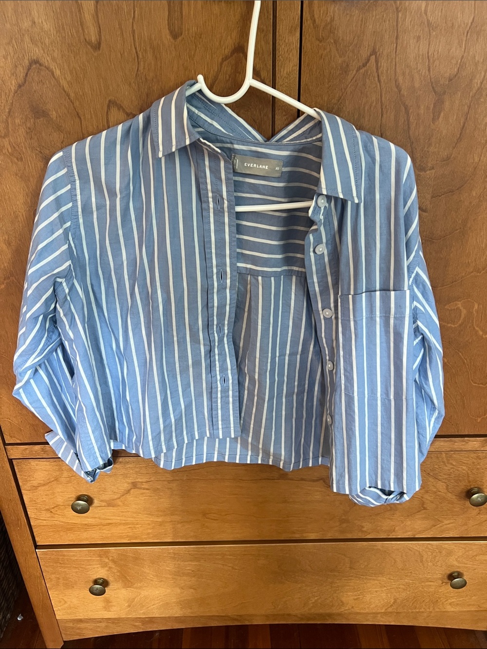 Everlane Blue & White Striped Cropped Button-Down Shirt
